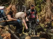 Chester Zoo releases 32 critically endangered Montseny brook newts into wild