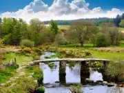 Children Ill After Swimming in River Dart Following 16-Hour Sewage Spill