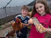 Children shocked as chicken lays 'massive' 113g egg in Ponteland