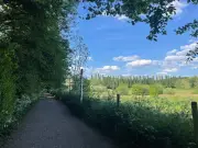 Chorlton Ees Walk: Shaded Riverside Trails for Hot Summer Days