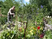 Chris Packham Urges Gardeners to Provide Water and Shade for Hedgehogs in Heatwave
