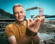 Chris Packham's Evolution Leads This Week's Rave Reviews