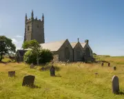 Church of England Rejects 30% Rewilding Target for Its Land by 2030