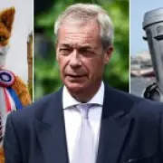 Clacton By-Election Date Set: Farage vs Binface and Human Fox on August 13
