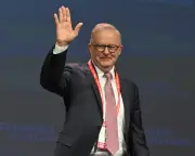 Comedian says Albanese 'shag marry date' taken out of context