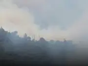 Costa Brava Wildfire Burns 750 Hectares, 12,000 Told to Stay Indoors