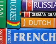 Cutting Language Courses Will Be a Costly Mistake, Warn Experts
