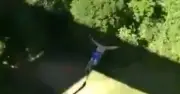 Dad Killed in Bungee Jump Accident After Rope Length Blunder