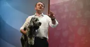 Danny Chambers: Link Animal Abuse to Domestic Violence Checks