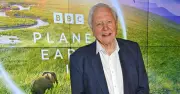 David Attenborough Urges Action to Avoid Climate Disaster in Final Plea