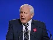 David Attenborough Warns Dog Owners About Flat-Faced Breeds