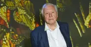 David Attenborough Warns UK Dog Owners About Breeding 'Crippled' Breeds
