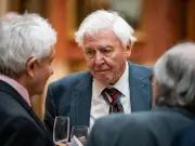 David Attenborough Warns UK Dog Owners About Flat-Faced Breeding
