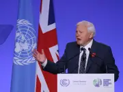 David Attenborough Warns We Are at 'Brink of Disaster' in Climate Plea