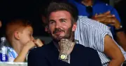 David Beckham's £19m World Cup earnings dwarf England squad's £11m bonus
