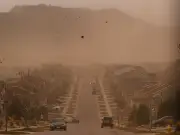 Deadly Valley Fever Fungus to Hit 11 US States in Summer Dust Storms