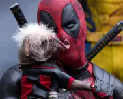 Deadpool Must Stop Mocking Marvel to Fit Into MCU, Critics Say