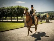 Death Comes to Pemberley: Pride and Prejudice Murder Mystery Now on Channel 4