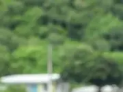Death in Paradise Fans Call for More Recurring Local Characters
