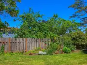 'Definitive method' to find out which neighbour is responsible for garden fence