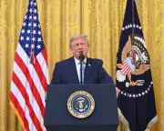 Democrats Slam Trump's 'Pathetic Attempt' to Cast Doubt on Election Integrity