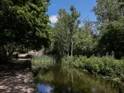 Discover Daisy Nook: Greater Manchester's Overlooked Woodland Park with Lake and Picnic Spots