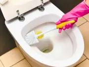 Ditch Bleach for Hydrogen Peroxide or Vinegar to Clean Toilets