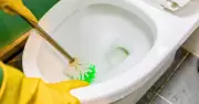 Ditch Bleach for Vinegar and Hydrogen Peroxide to Clean Toilets