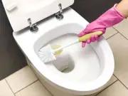 Ditch Vinegar for Citric Acid to Remove Toilet Limescale in 15 Minutes