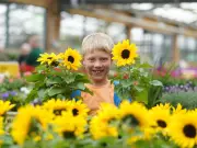 Dobbies Sandyholm Hosts Free Little Seedlings Club Workshop in August