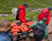 Dog Rescued from Ben Nevis After Eating Discarded Cannabis