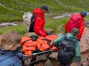 Dog Rescued from Ben Nevis After Suspected Cannabis Poisoning