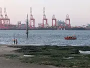 Dog walker and two dogs rescued after being cut off by tide at New Brighton