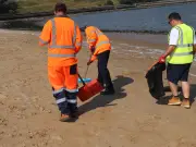 Dogs on leads warning on Tyneside coast after plastic pellet spill