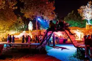 Down the Rabbit Hole Review: The Best Kept Secret of European Festivals