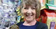 Driver Arrested on Suspicion of Murder After Fatal Wiltshire Crash