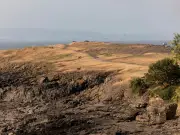 Drought declared across Wales as July set to be driest in 190 years