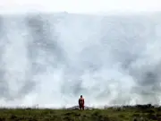 Drought Declared in Parts of Wales After Heatwave and Wildfires
