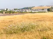 Drought declared in parts of Wales for first time this summer