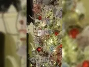 Drug Dealer Decorated Christmas Tree with £20 Notes, Police Find Gun in Slow Cooker