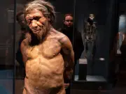 Early Humans and Neanderthals Shared Caves and Culture, Study Reveals
