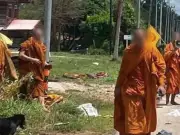 Eight Buddhist Monks Killed in Thailand as Stolen Truck Hits Pilgrimage