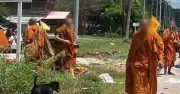 Eight Monks Killed, 13 Injured in Thailand Pilgrimage Truck Crash