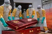 Elon Musk's USAID Cuts Linked to Ebola Deaths in DRC, Experts Say