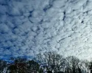 English Summer Clouds Warn of Trouble Ahead: Mackerel Skies and Mare's Tails