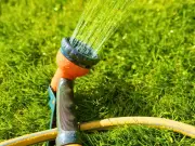 Epsom Salt: A Bathroom Item That Makes Lawns Thicker and Greener
