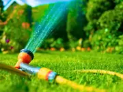 Epsom Salt Keeps Lawns Lush and Green Without Drying Out This Summer