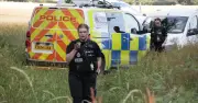 Essex Plane Crash Update: Two Dead in Ongar Incident, Police Confirm