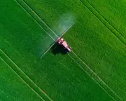 EU-Approved Pesticide Fluazinam Linked to Brain Development Risks in New Study