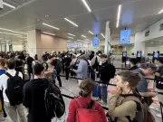 EU border checks cause five-hour queues; aviation chiefs demand suspension
